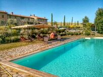 Sunflower Springs - Sassicaia Image 1