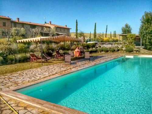 Sunflower Springs - Sassicaia Image 1