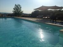Sunflower Springs - Sassicaia Image 2