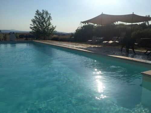 Sunflower Springs - Sassicaia Image 2
