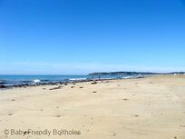 Our Local Beach