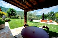 Tartagli - Sangiovese Image 8