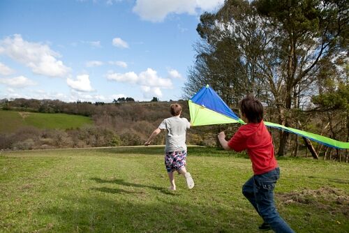 Fly a kite